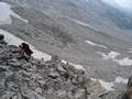 Picture 211